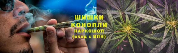 тгк Козловка