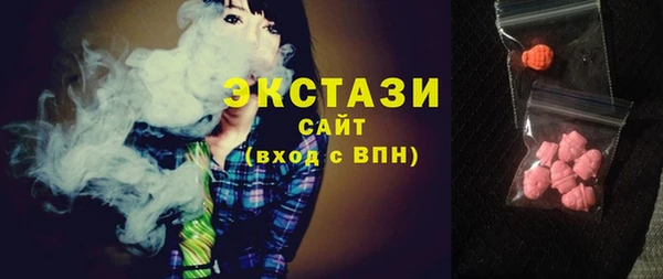 индика Коряжма
