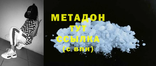 индика Коряжма