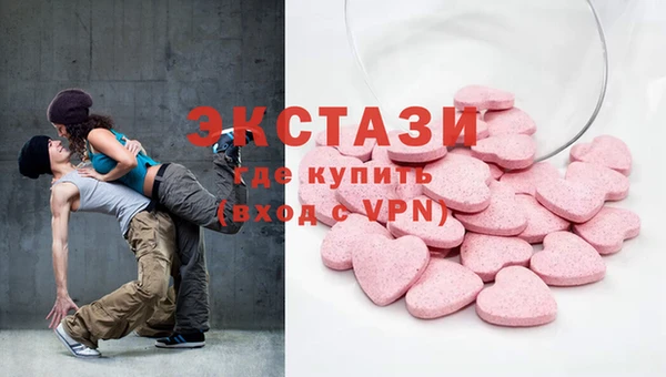 индика Коряжма