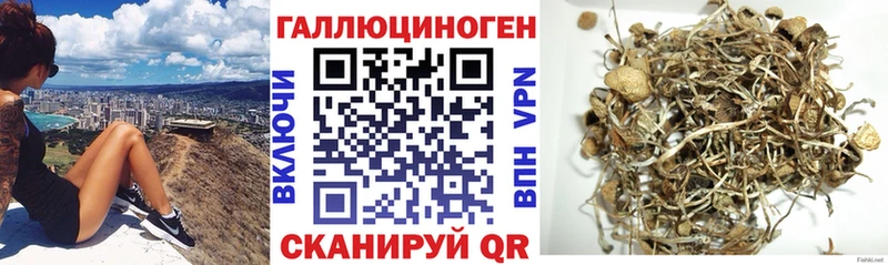Галлюциногенные грибы ЛСД  Лесной 